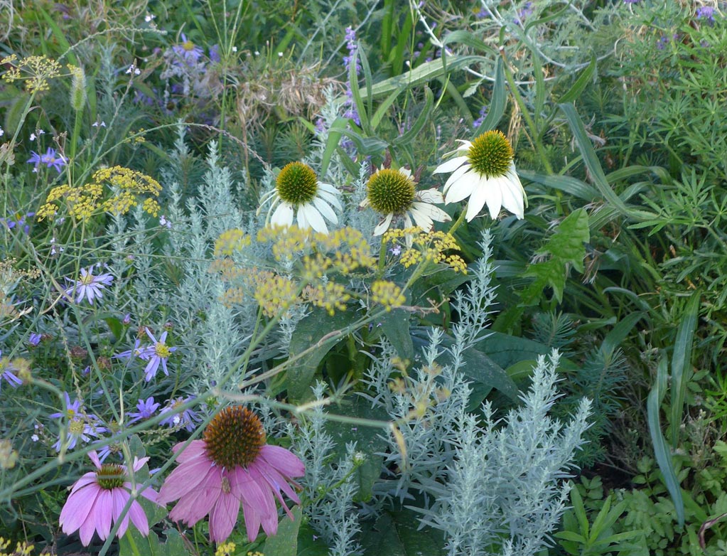 Château de Candale, St Emilion